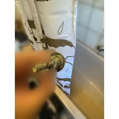 carousel image