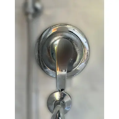 carousel image