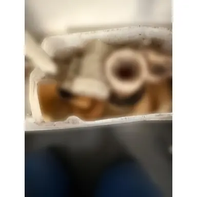 carousel image
