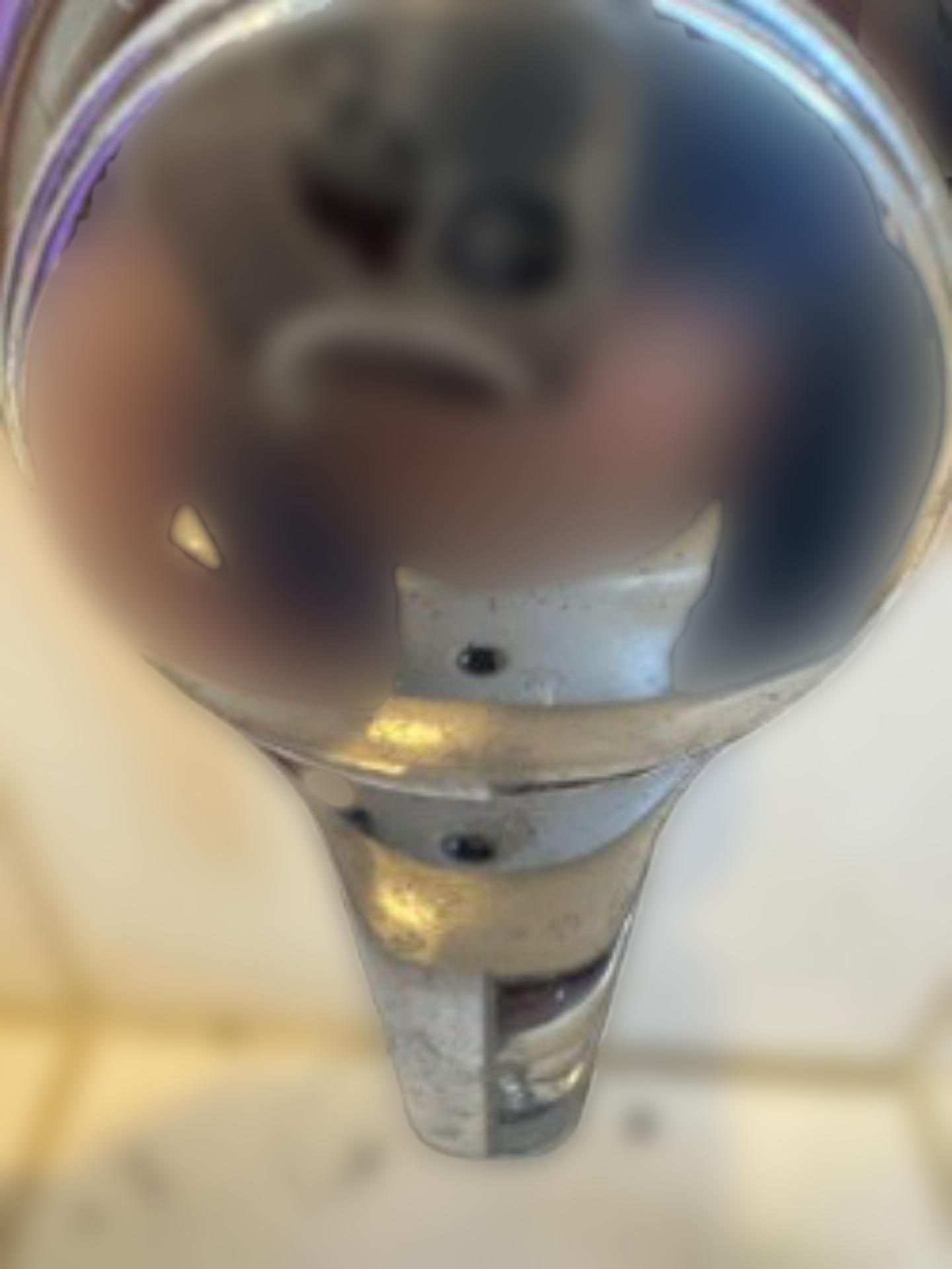 carousel image
