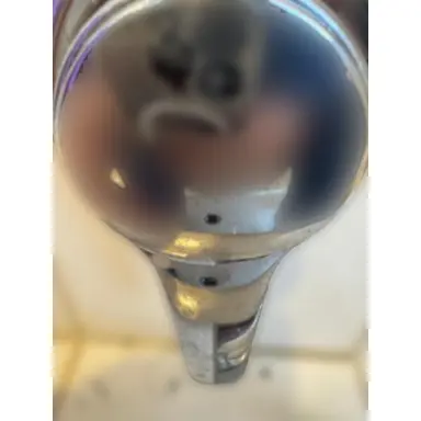carousel image