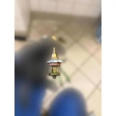 carousel image