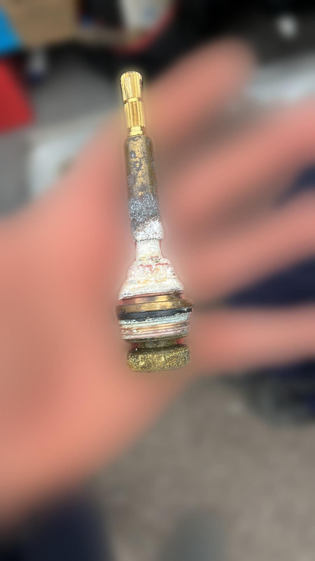 carousel image