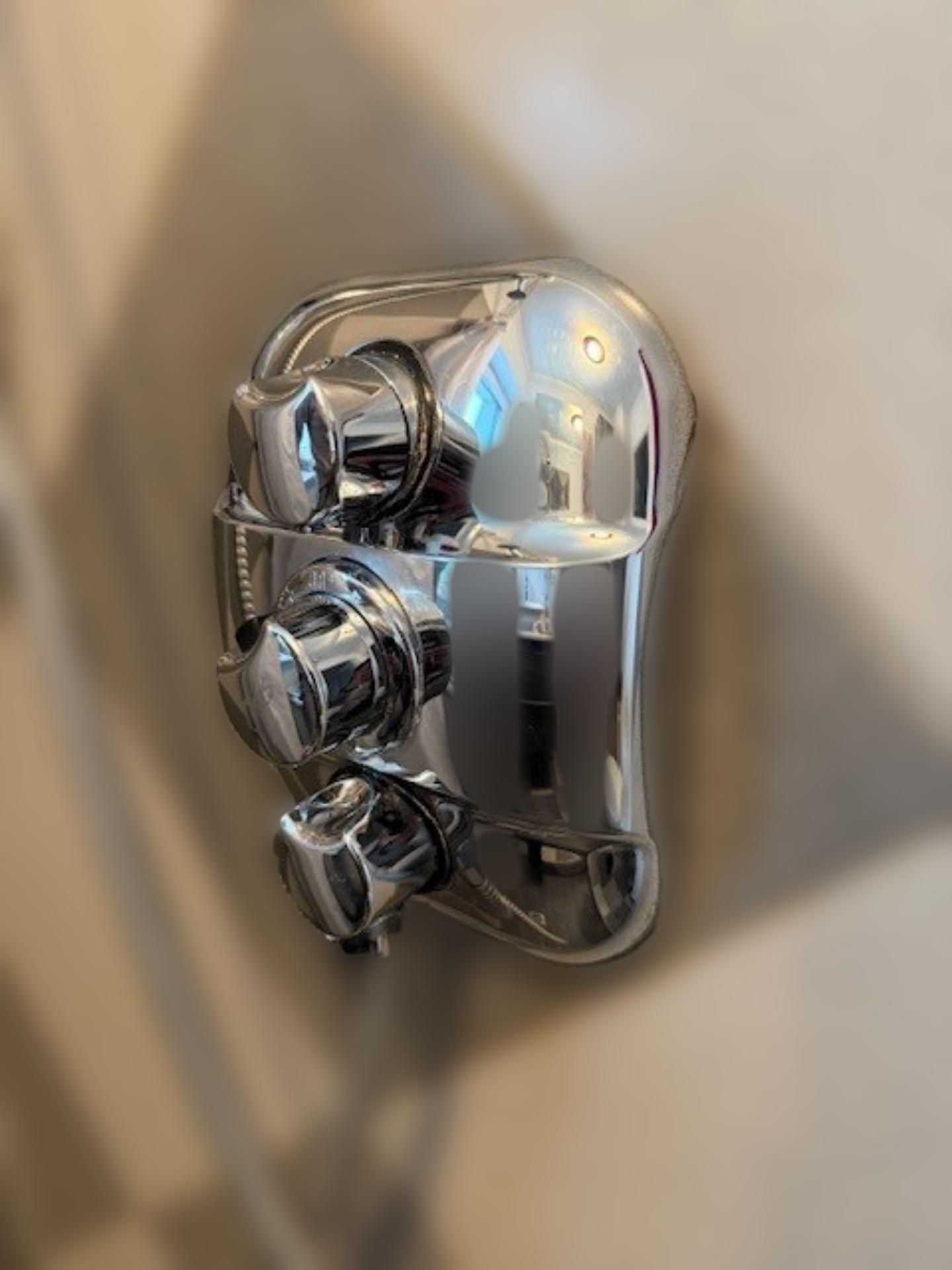 carousel image