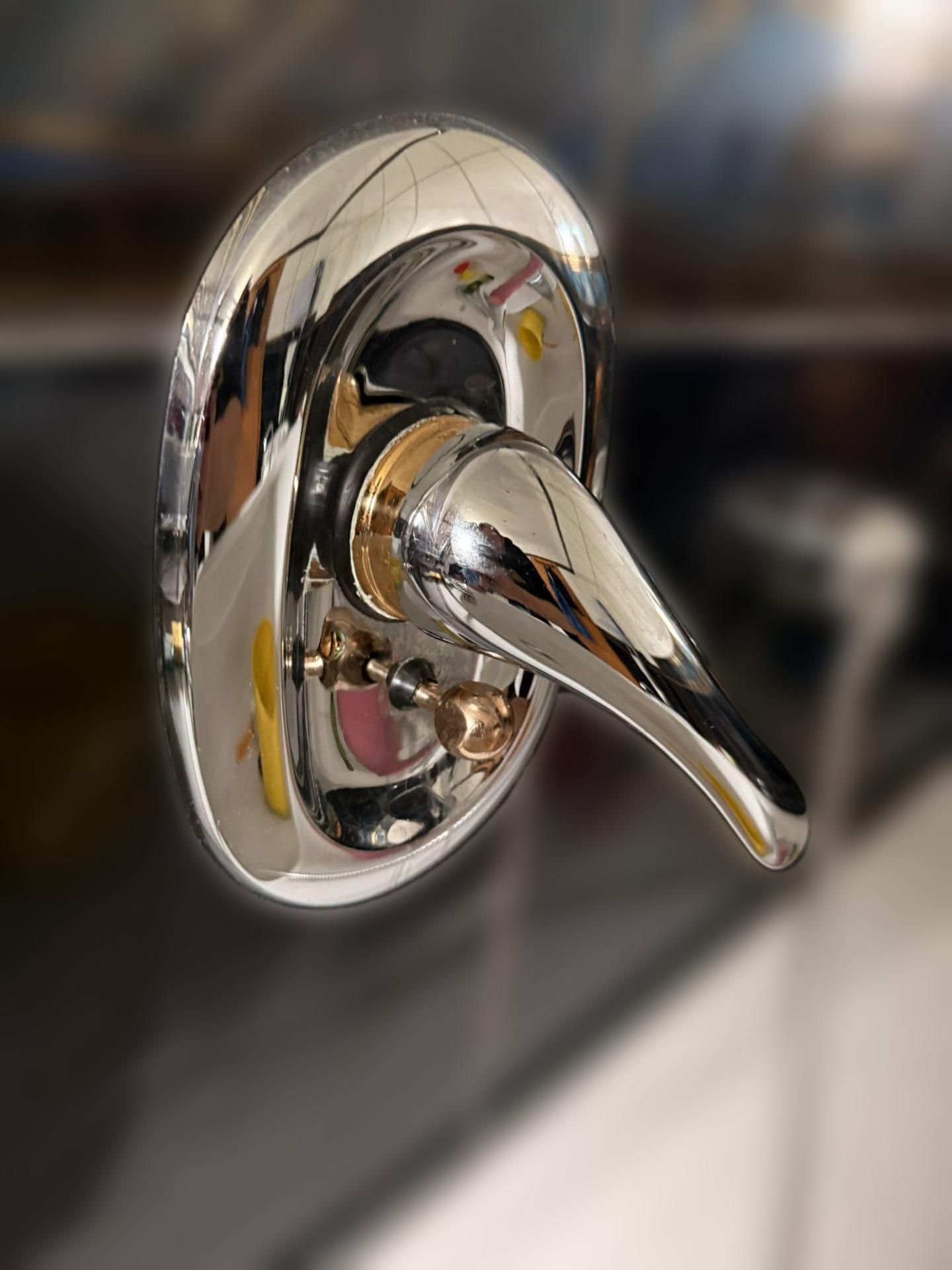 carousel image