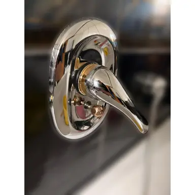 carousel image