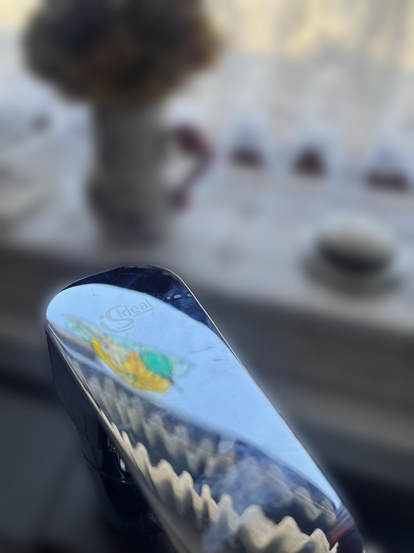 carousel image
