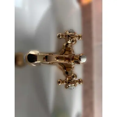 carousel image