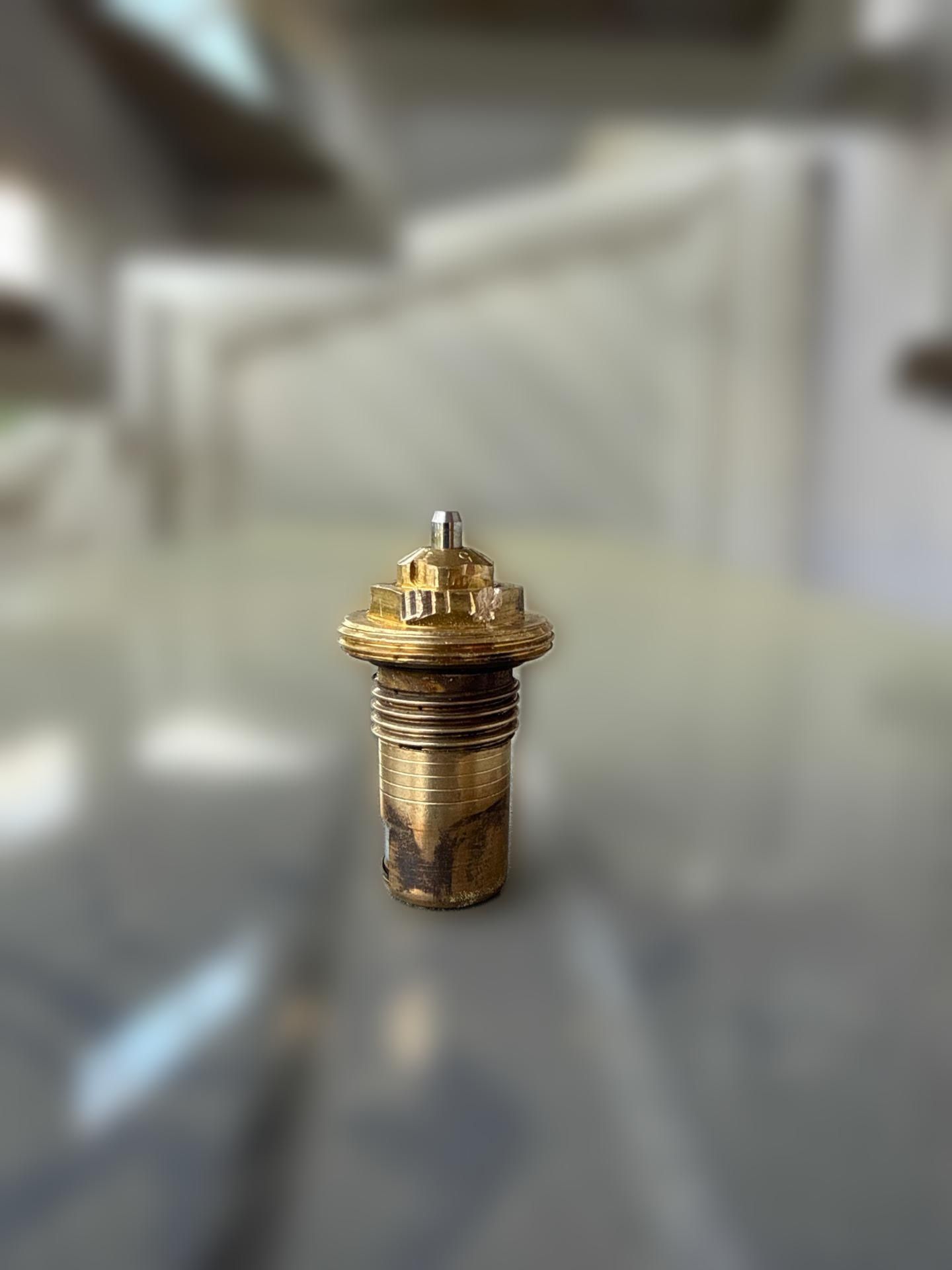 carousel image