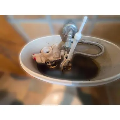 carousel image