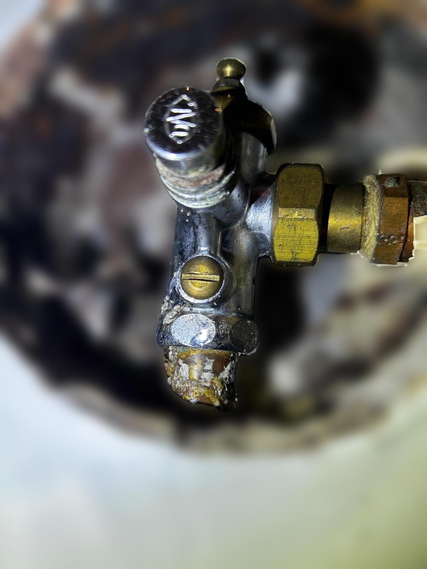 carousel image