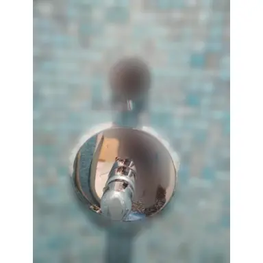 carousel image