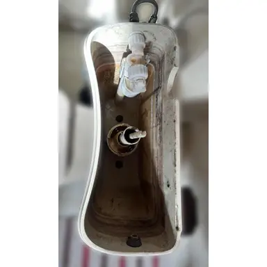 carousel image