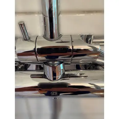 carousel image