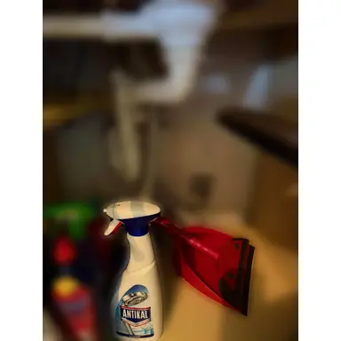 carousel image