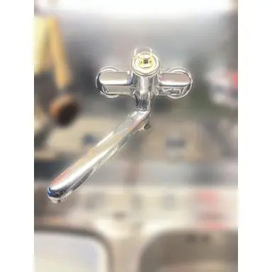 carousel image