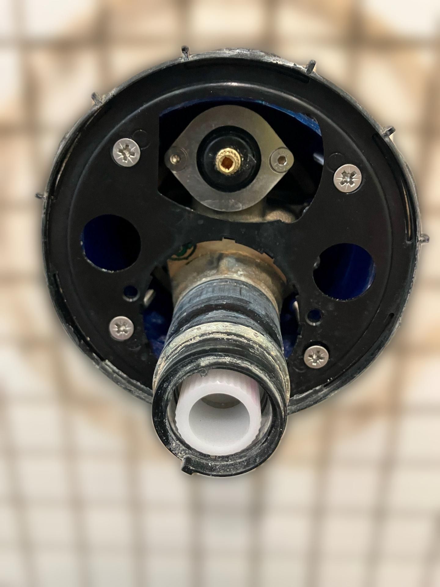 carousel image