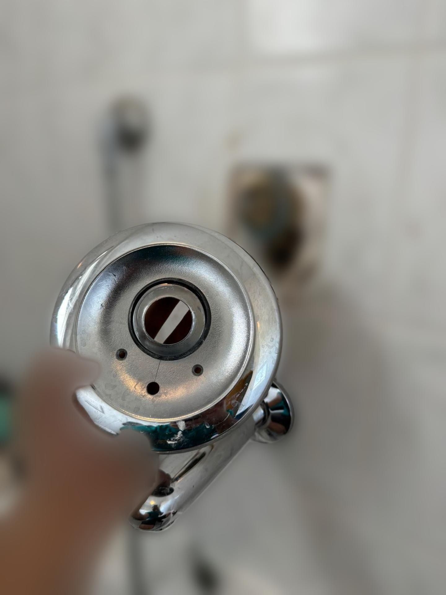 carousel image