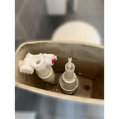 carousel image