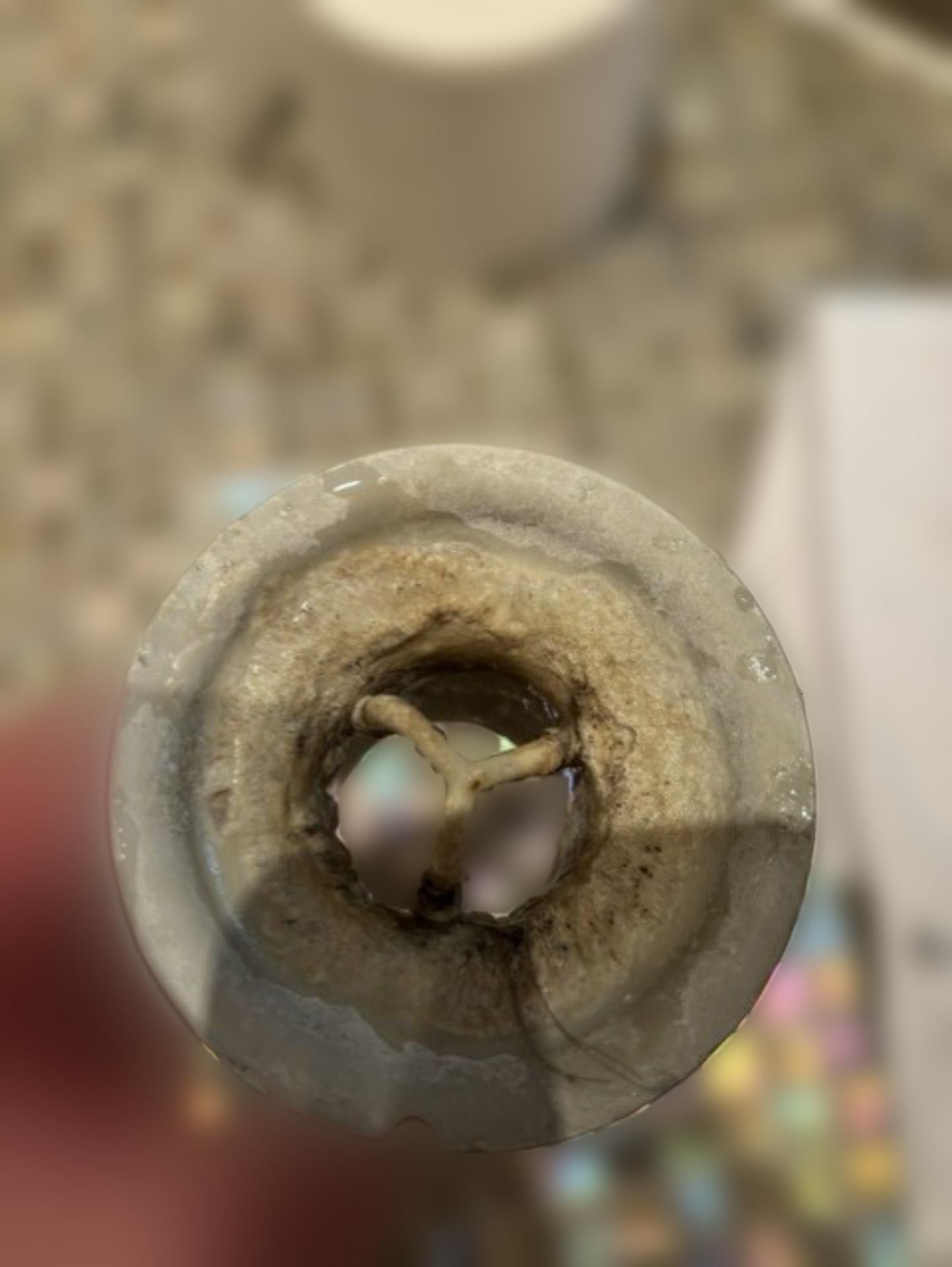 carousel image