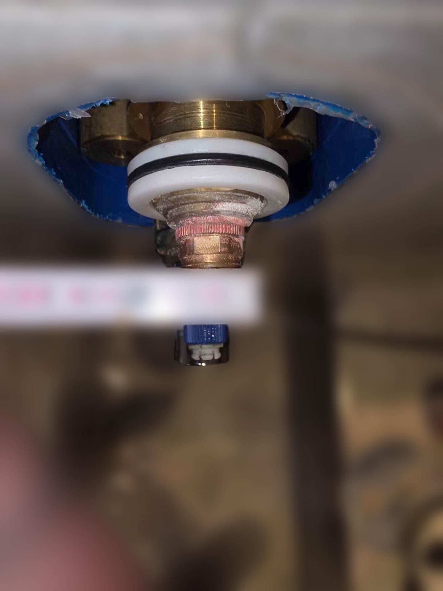 carousel image