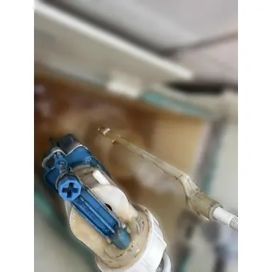 carousel image