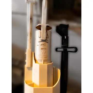 carousel image
