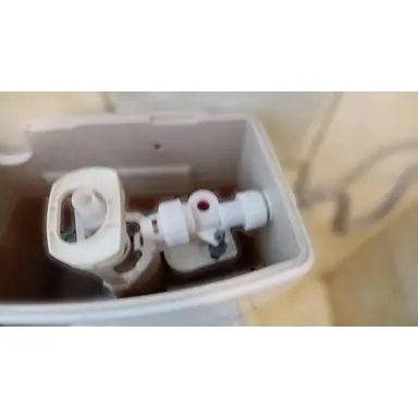 carousel image