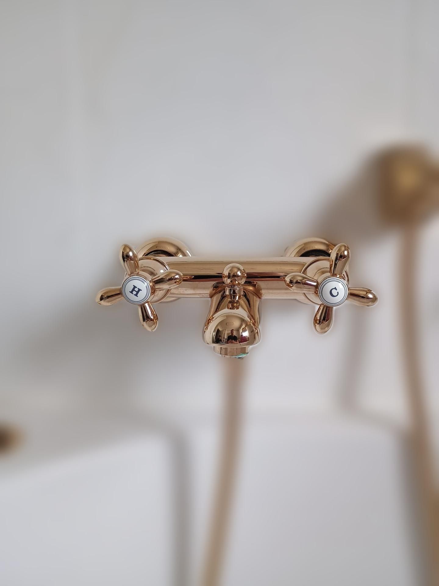 carousel image