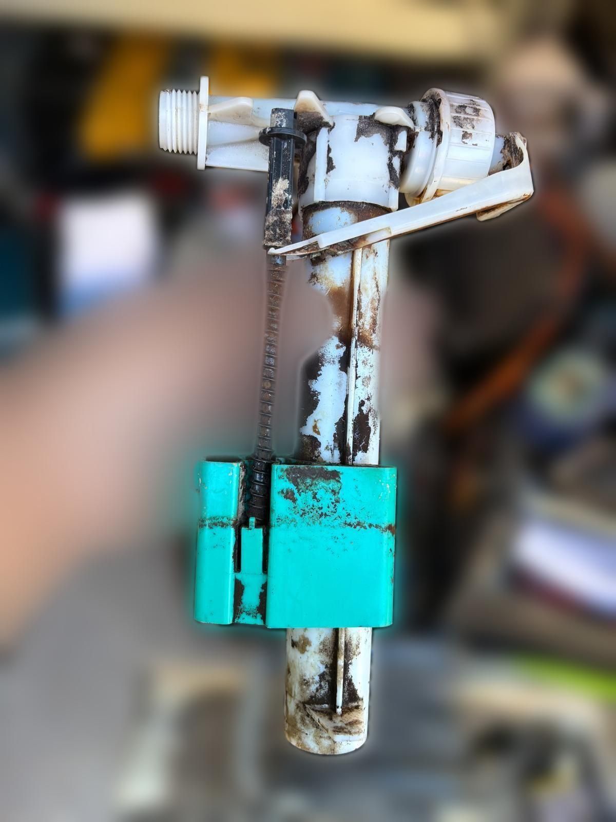 carousel image