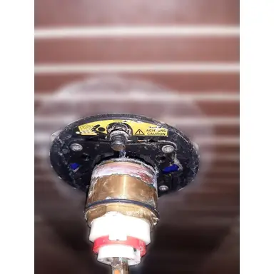 carousel image