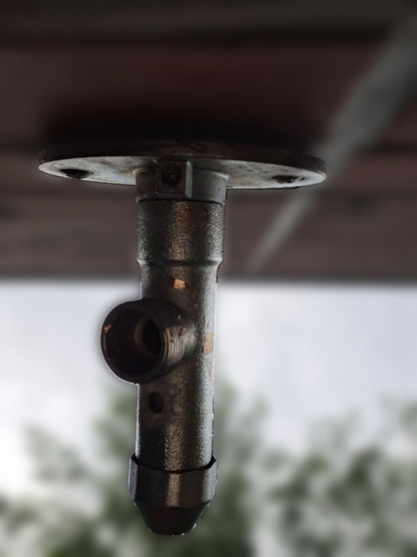 carousel image
