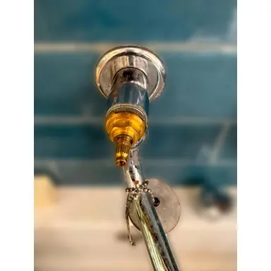 carousel image