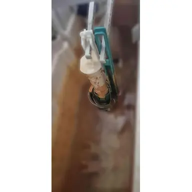 carousel image
