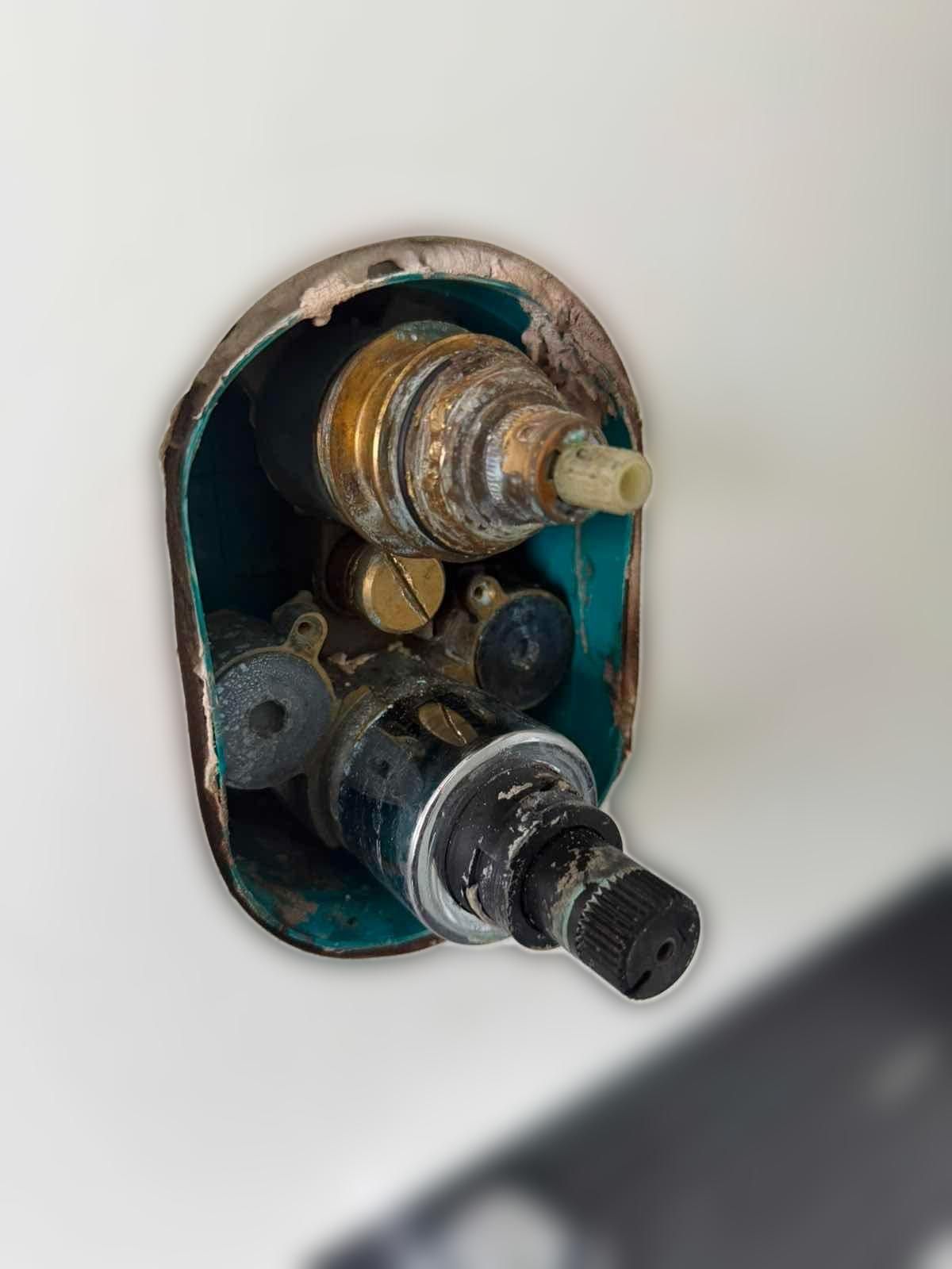 carousel image