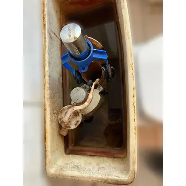 carousel image