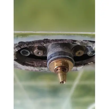 carousel image