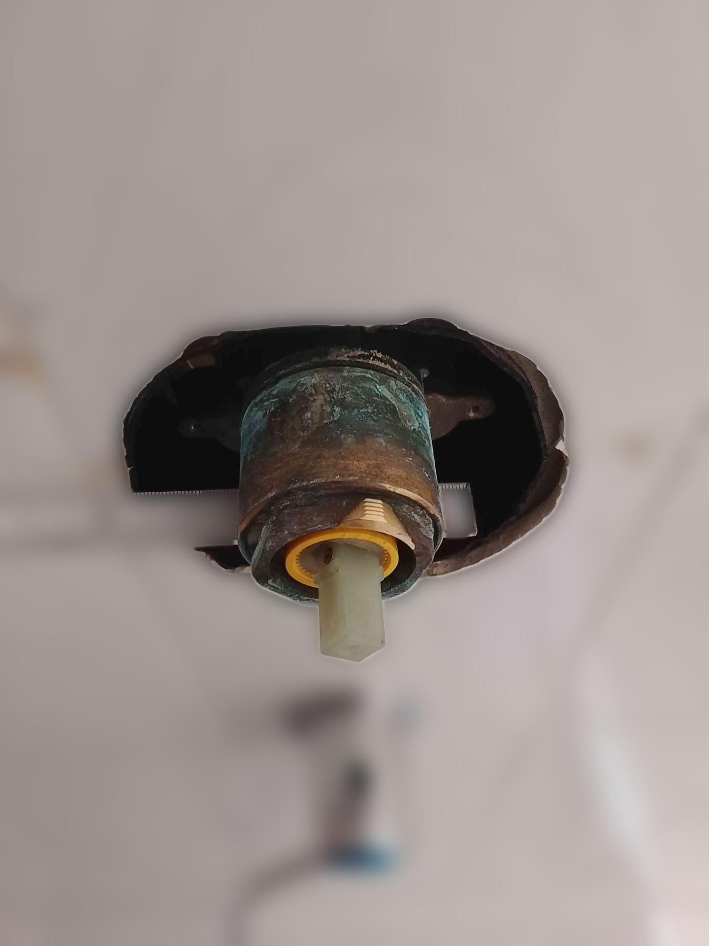 carousel image