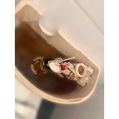 carousel image