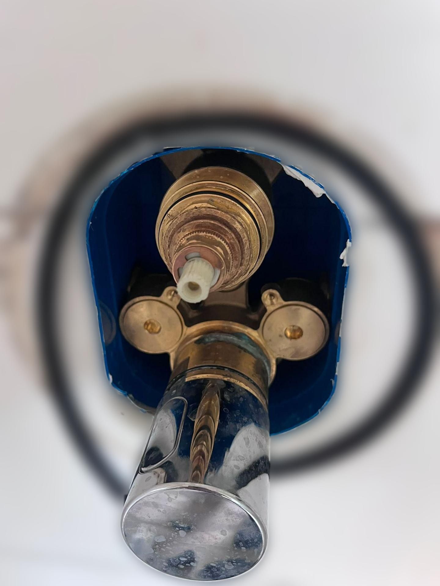 carousel image
