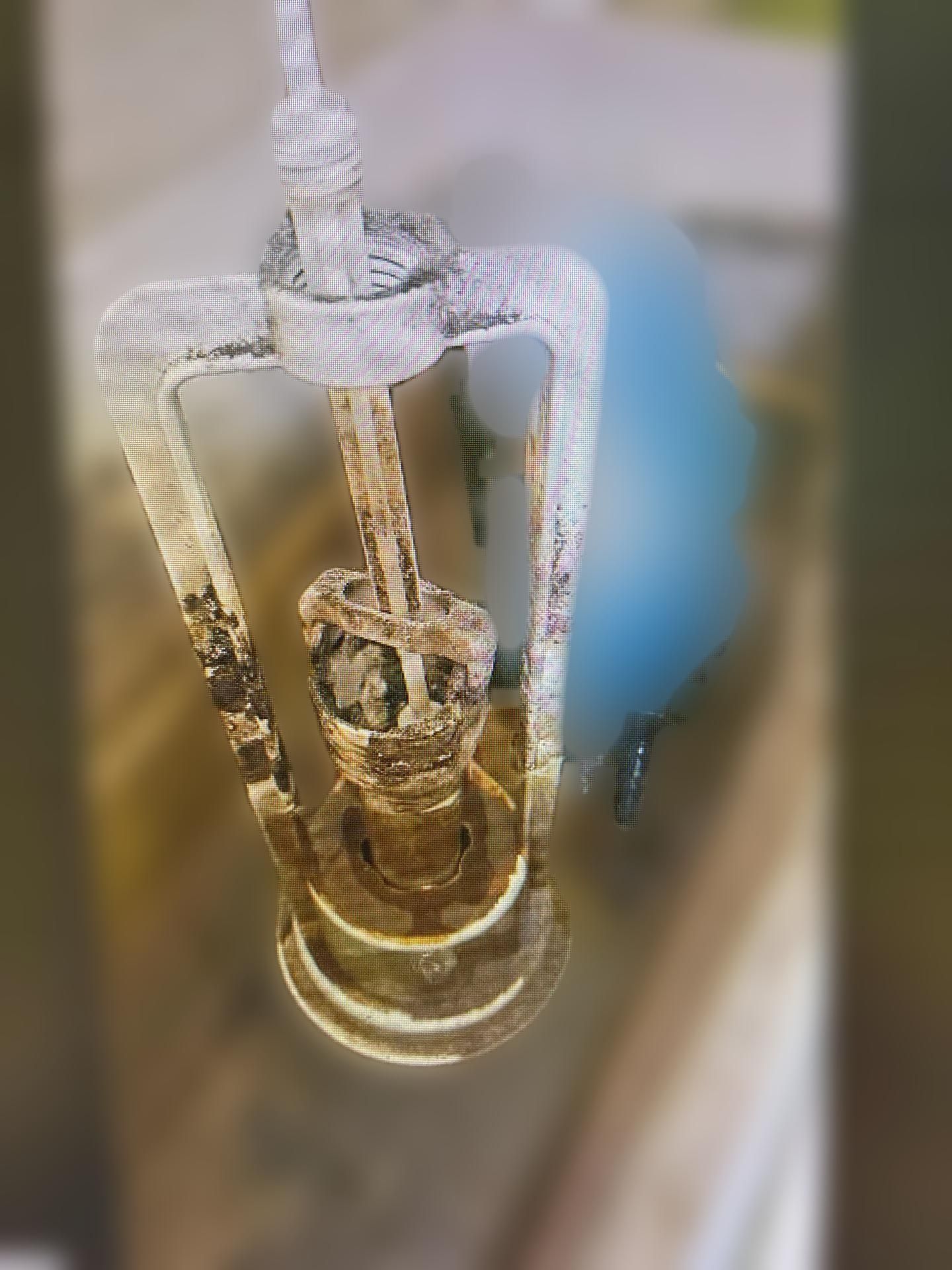carousel image