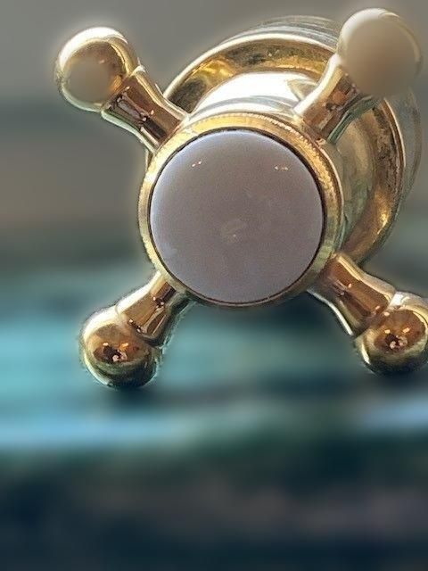carousel image