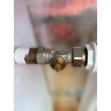 carousel image