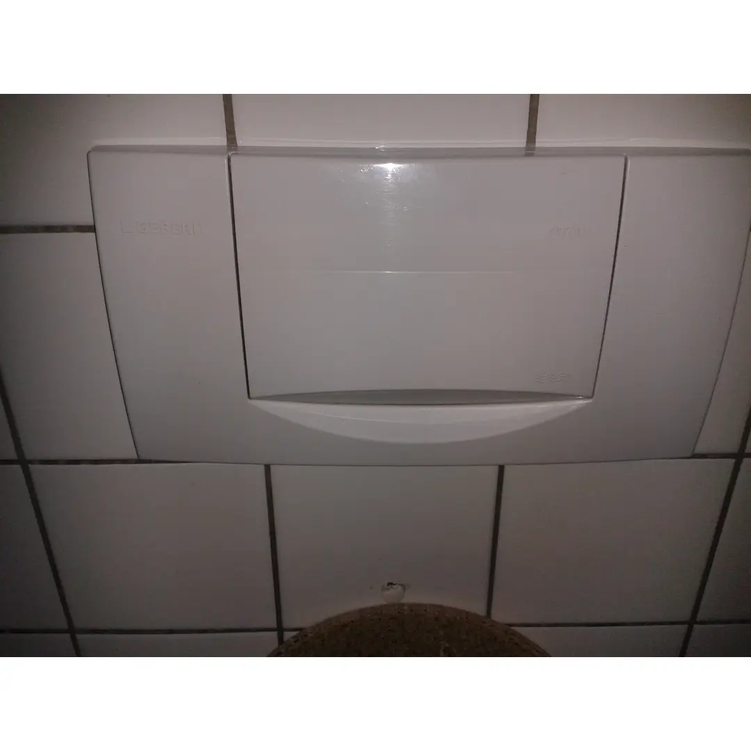 Geberit-Bilder Betätigungsplatte 200F 115.222 (1)
