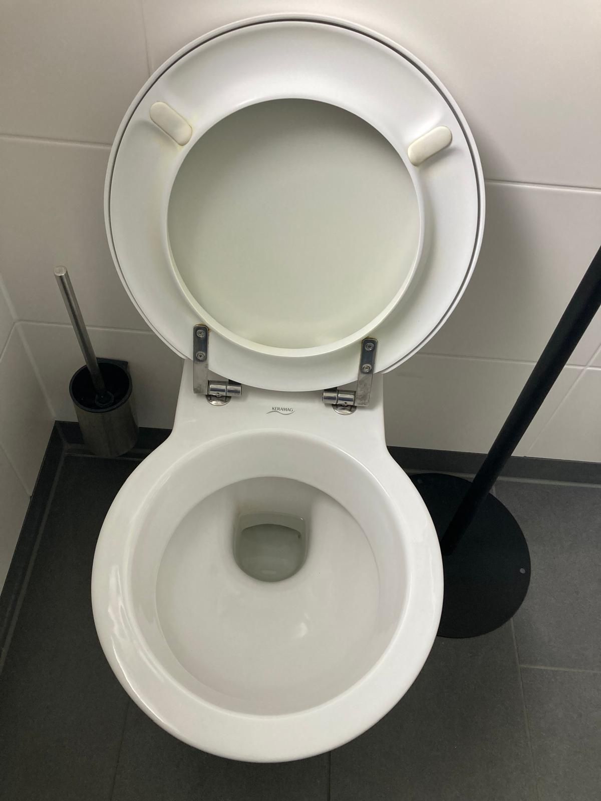 GE Preciosa WC-Sitz, weiß Scharniere Edelstahl