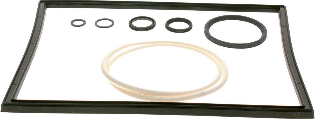 Bosch Wartungssatz CerapurMaxx ZBR 65..98 -2 A ZBR 70..100 -3A