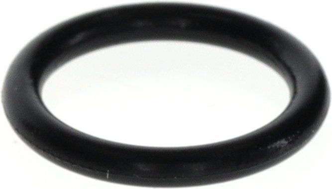 BOSCH O-Ring (10x)