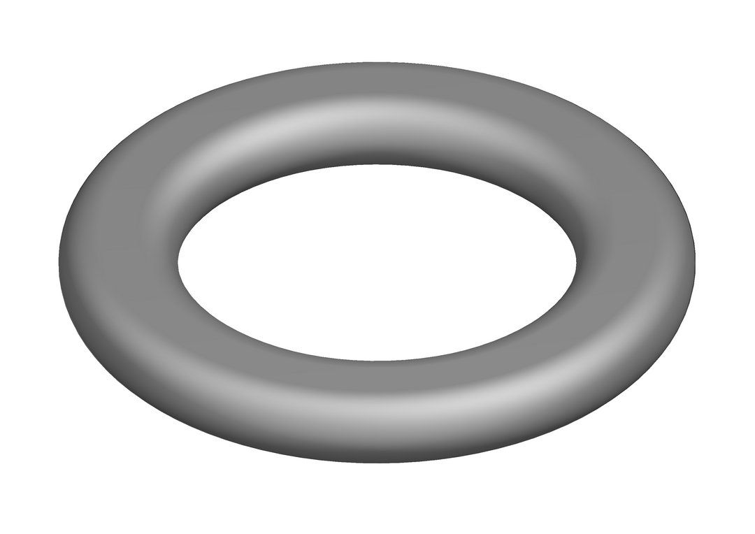 O-Ring (10x)