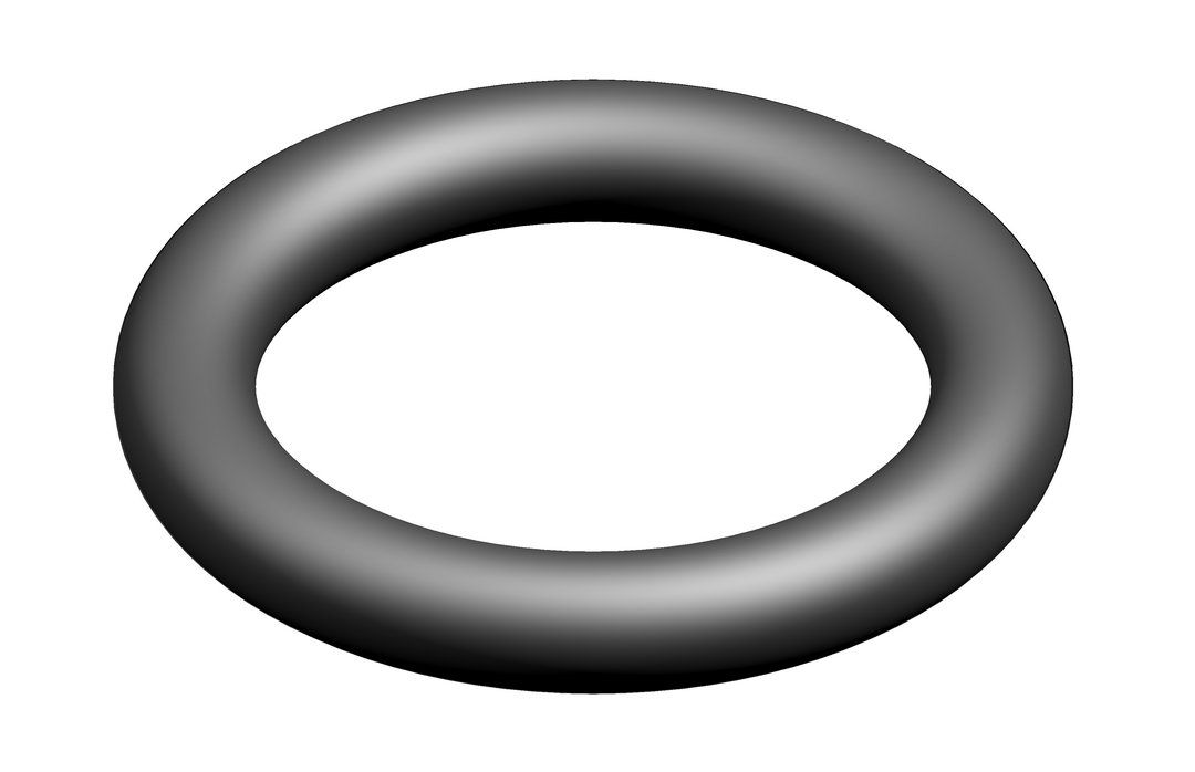 O-Ring (10x)