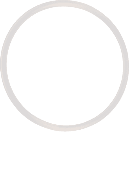 Stiebel Dichtring SS